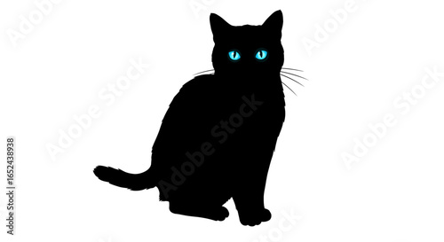 A black cat sits facing forward with bright blue eyes and whiskers on a white background