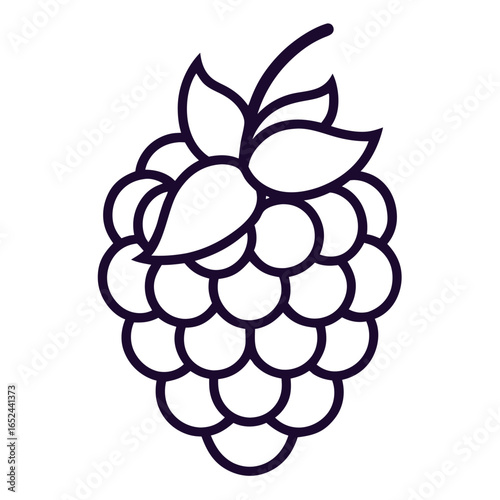boysenberry fruit line art on white background