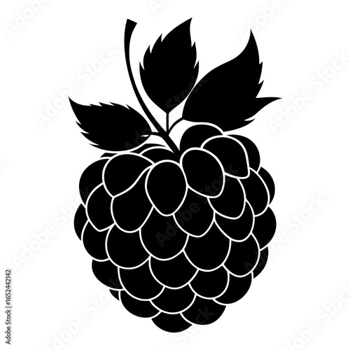  bramble-fruit-silhouette-on-white-background