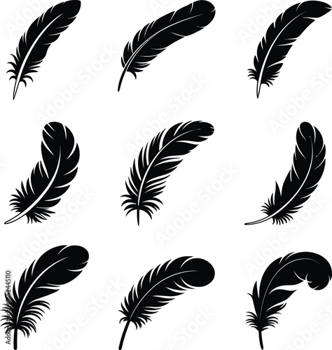 Nine Black Feather Silhouettes Collection on a Transparent Background, Detailed Set