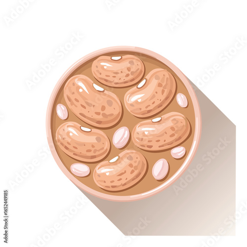 Pinto Bean Vector illustration with clean lines and bold shapes.