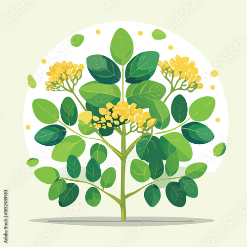 Fenugreek Seed Vector illustration with clean lines and bold shapes.