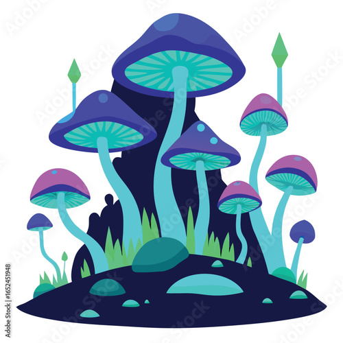 mushrooms in the forest