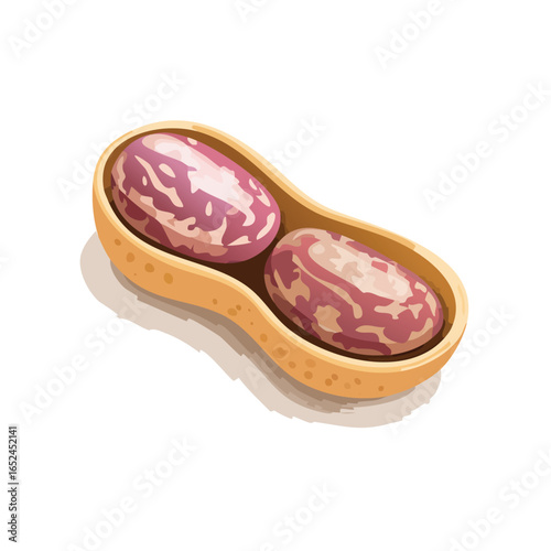 Pinto Bean Isometric vector illustration with clean 3D perspective.