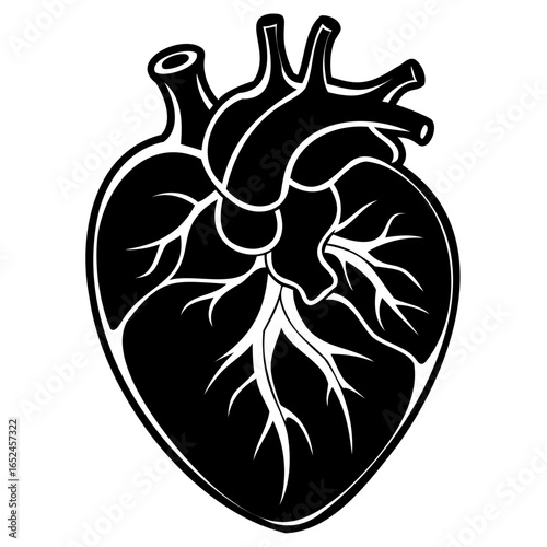 Anatomical heart illustration in black and white, symbolizing life and health