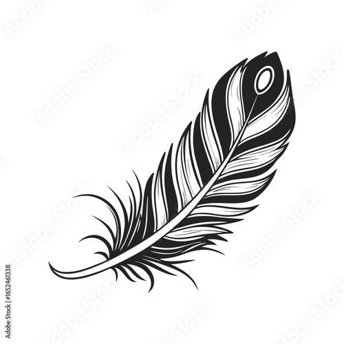 Feather icon set. Black bird quill silhouettes. Vector collection of different plume shapes in flat design style. Lightweight, elegant, flight concept Feather and ink feather set vector icons.