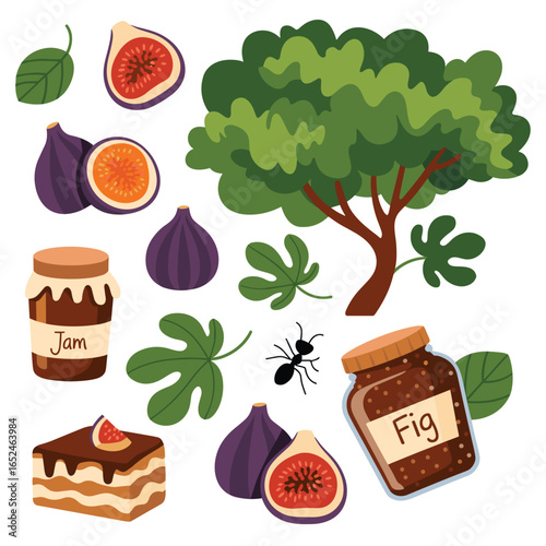 Flat cartoon style fig tree with fruits jam and cake figs