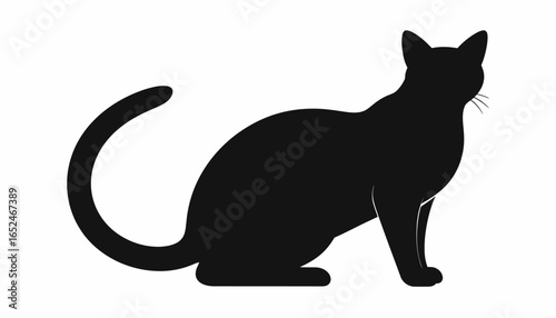 Elegant Black Cat Silhouette, Mysterious Halloween Feline Figure