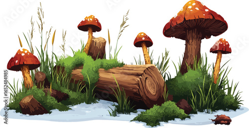  Nature Still Life with Moss and Wild Fungi