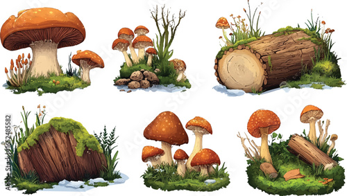  Forest Magic with Ivy and Wild Mushrooms