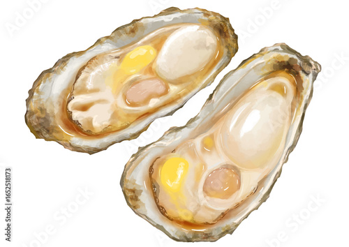 冬が旬！リアルな焼き牡蠣(バター醤油)のイラスト