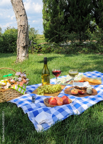 A picnic on a summer day with fruit, cheese and two glasses of wine on a plaid blanket on the lawn