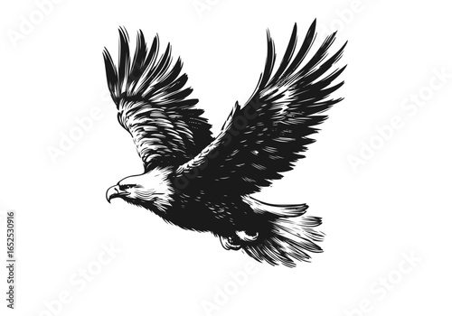 Eagle Hand Drawn Natural Illustration Vector Isolated by AZ for Books, Arts, Design and Decoration Graphic Asset