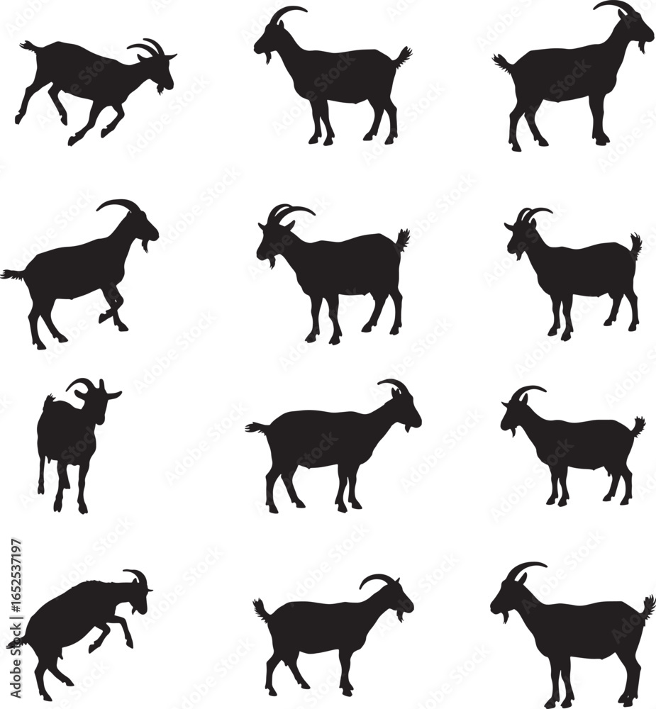 Obraz premium Collection of Goat Silhouettes in Various Poses on a White Background