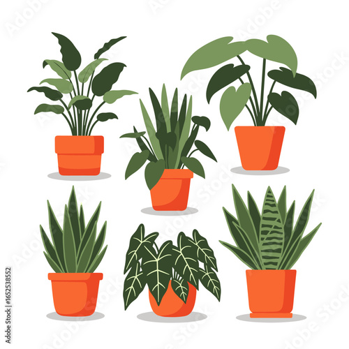 Bring nature indoors with this charming collection of vibrant potted houseplants adding fresh style to any space