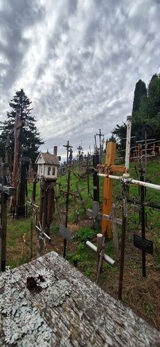 Podobny obraz