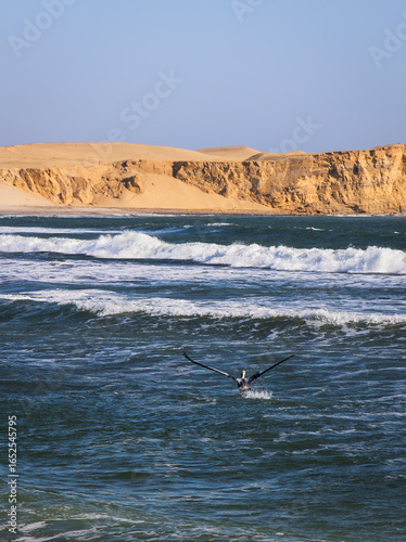 Küstenlandschaft 