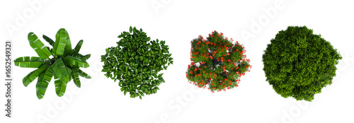 Variety of Green Trees and Shrubs, Top View, Garden and Landscape Design Element, Architecture Plan Layout, PNG Cutout - transparent Background