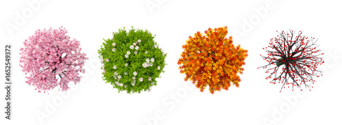 Diverse Tree Top Views, Landscape Design Element Set, Pink Cherry, Green Foliage, Orange Autumn, Bare Branches, Plan View, Architecture Layout, Round Shape, Transparent Background