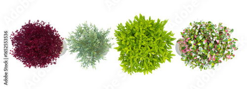 Assorted Colorful Bushes, Garden Plants, Ornamental Shrubs, Landscape Design Elements, Architecture Layout, Top View Isolated Cutout on Transparent Background