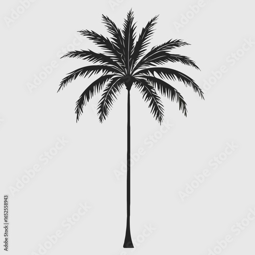 palm tree silhouette