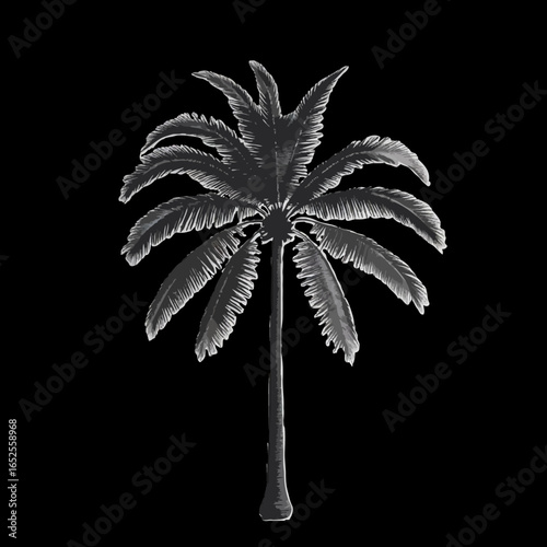 black palm tree