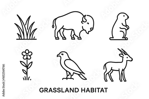Grassland habitat vector icon set. Simple outline collection of prairie wildlife animals and plants. Includes bison, prairie dog, hawk, antelope, grass, wildflower symbols.