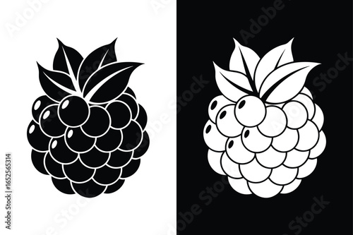 Blackberry Fruit Icon Vector. Delicious Dessert and Nutrition Symbol