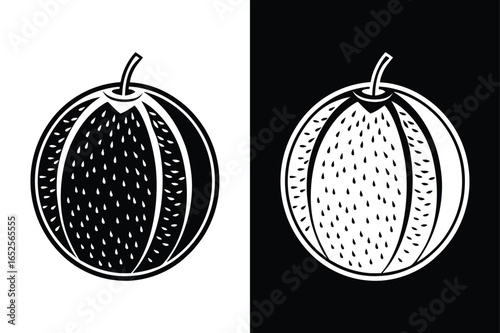 Clean Cantaloupe Icon Illustration. Minimalist Fruit Vector Artwork