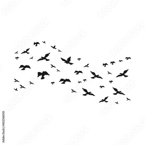 Shilhouette Of Flying Birds