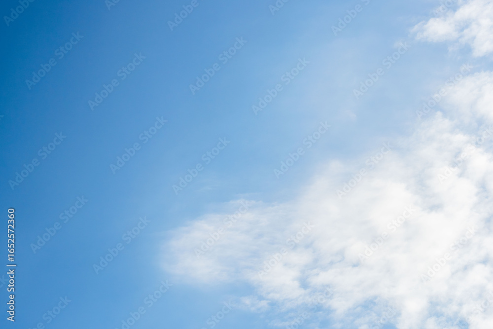Fototapeta premium 夏の青空と日差しに輝く夏の雲95