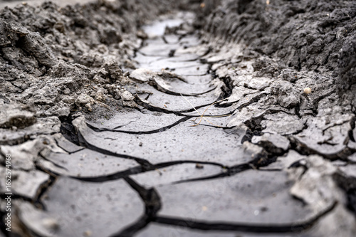 Cracked Dry Earth with Tire Tracks