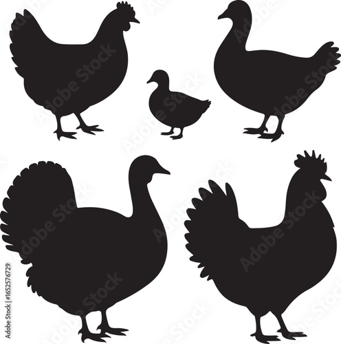 Five Black Silhouettes of Farm Birds on White Background farming poultry