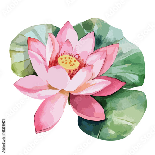 Delicate Pink Lotus Blossom with Watercolor Green Leaf