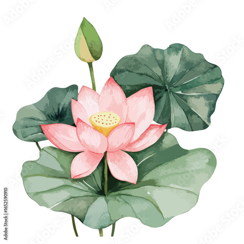 Delicate Watercolor Lotus Flower and Leaves Arrangement