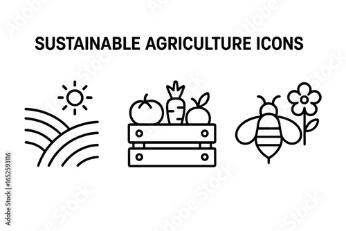 Sustainable agriculture icon set. Outline vector icons of terraced fields, organic produce in a crate, and a pollinator bee. Eco-friendly farming and local food concept.