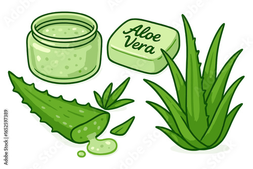 Natural Aloe Vera Gel and Soap with Fresh Aloe Plant in a Calming Green Layout, Vector Cartoon Illustration on Transparent Background, Skincare and Wellness Set