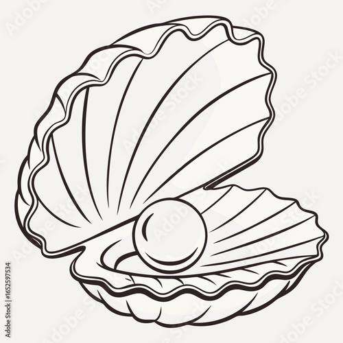 vector illustration of seashell