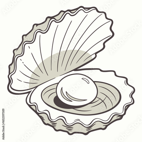 shell on a white background
