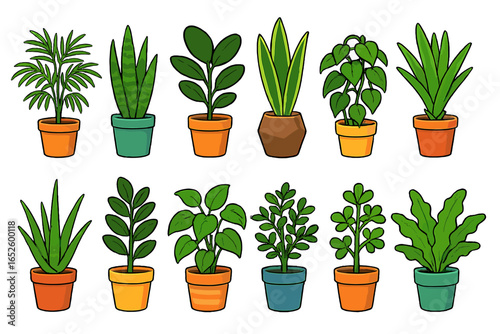 Various indoor plants in colorful pots on white background, diverse species and styles, cartoon vector illustration, home decor, botanical collection, greenery, houseplants, nature