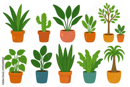 Various Indoor Plants in Colorful Pots on White Background, Diverse Species and Styles, Vector Cartoon Illustration, Transparent Background, Home Decor, Gardening