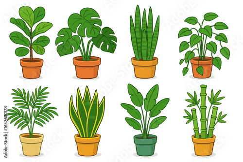 Colorful indoor plants in pots, diverse species and styles, vector cartoon illustration on transparent background, decorative houseplants collection for home, office, nature