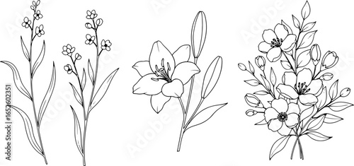 Illustration of three floral arrangements featuring lilies, buds, and delicate leaves in black and white