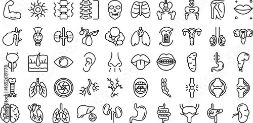 Medical organs line icon set, anatomy vector pictograms of human body parts, skeleton, joints and internal organs illustration