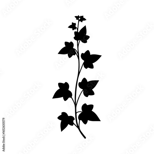 Black ivy silhouette vector flat illustration on white background.