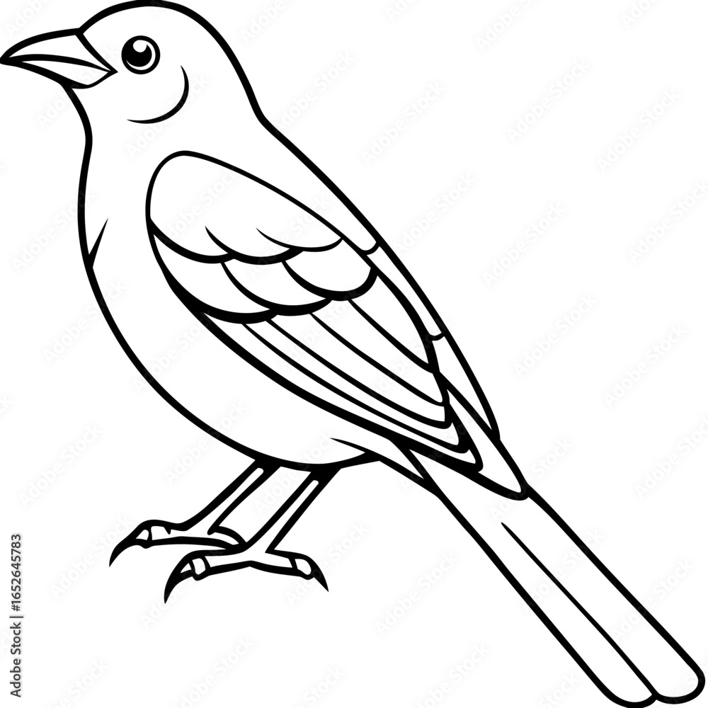 Obraz premium Oriole line art vector