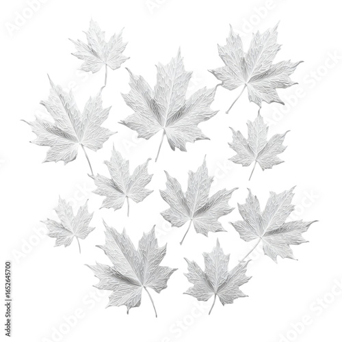 Paper-Cut Maple Leaves – Transparent Background Vector
