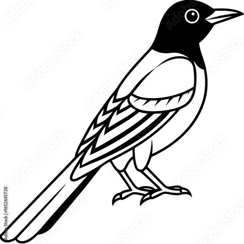 Oriole line art vector