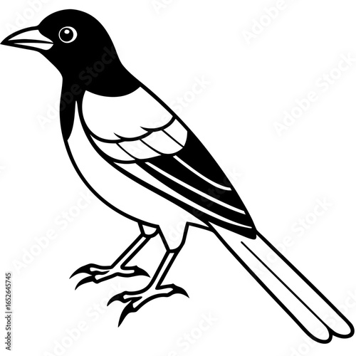 Oriole line art vector