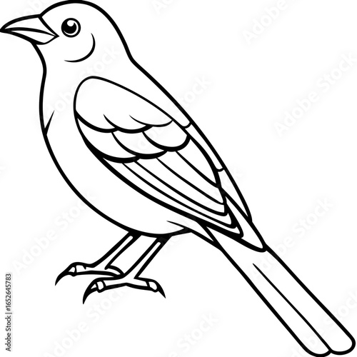Oriole line art vector
